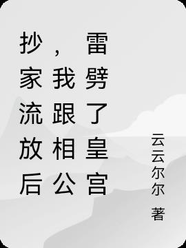 抄家流放后,我跟相公雷劈了皇宫