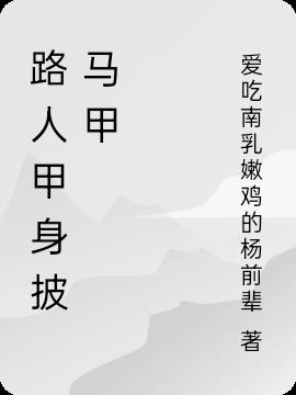 路人甲身披马甲