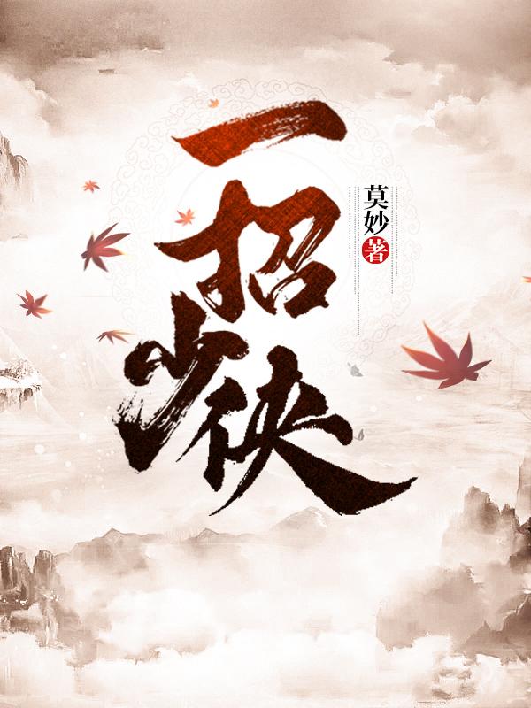 一招少侠