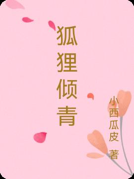 狐狸倾青