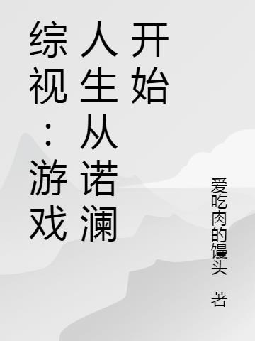 综视：游戏人生从诺澜开始