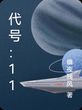 代号：11