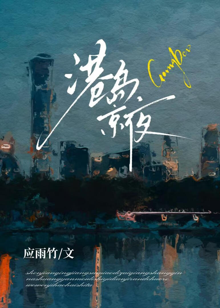 港岛京夜