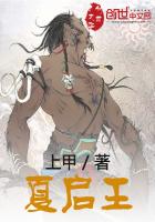 夏启王