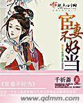 宦妻不好当