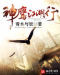 神鹰江湖行
