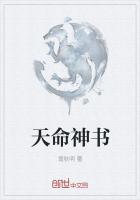 天命神书