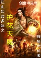 江山如此多娇之护花天魔