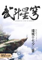 武斗星穹
