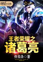 王者荣耀之逗比诸葛亮