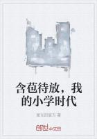 含苞待放，我的小学时代