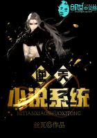 逆天小说系统