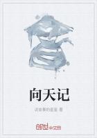 向天记