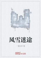 风雪迷途