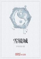 雪镜城