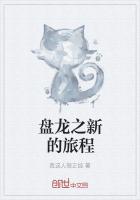 盘龙之新的旅程