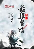 唐门最强赘婿