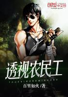 透视农民工