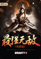 最强无敌双系统