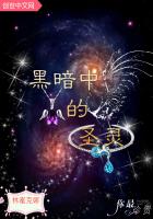 黑暗中的圣灵
