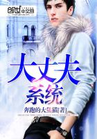 大丈夫系统