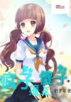 疯子撞上傻子
