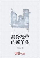 高冷校草的疯丫头
