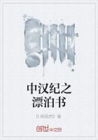 中汉纪之漂泊书