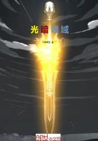 光暗领域