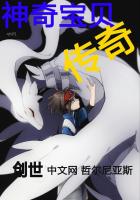 神奇宝贝：传奇