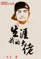 我的大佬生涯