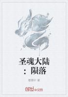 圣魂大陆：陨落