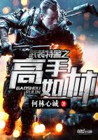 武装特警之高手如林