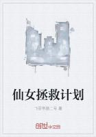 仙女拯救计划