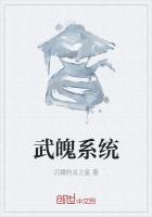 武魄系统