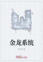 金龙系统