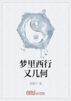 梦里西行又几何