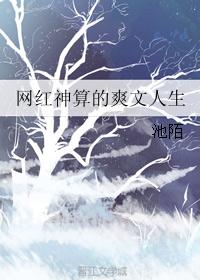 网红神算的爽文人生