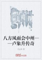 八方风雨会中州——卢象升传奇