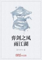 弈剑之风雨江湖