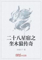 二十八星宿之奎木狼传奇