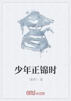 少年正锦时