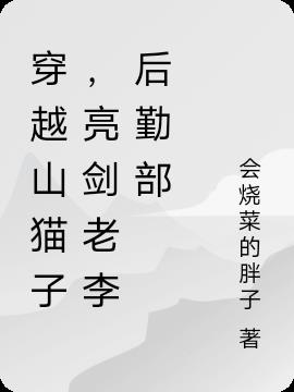 穿越山猫子,亮剑老李后勤部