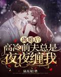 离婚后,高冷前夫总是夜夜缠我