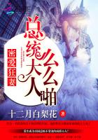 密爱狂妻：总统大人么么啪